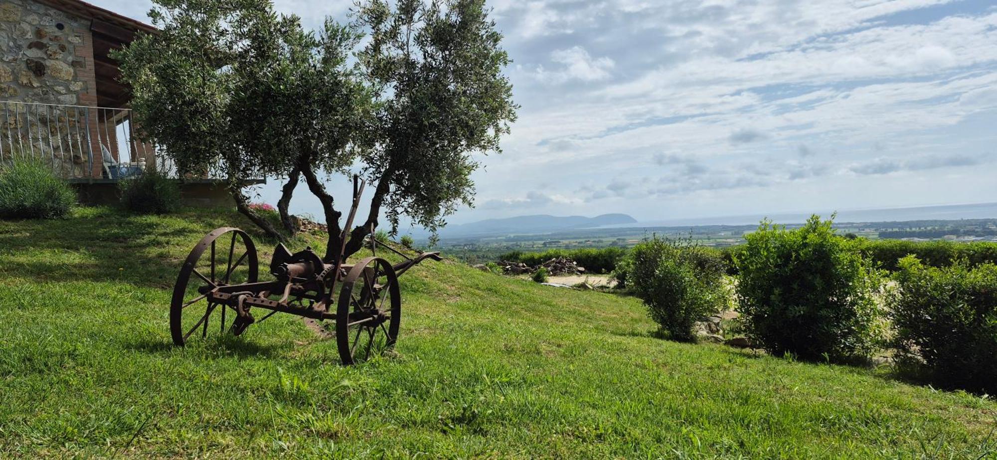 Agriturismo Suite Del Conte San Vincenzo Exteriér fotografie